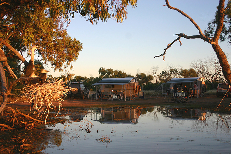 Camping at Cardenyabba