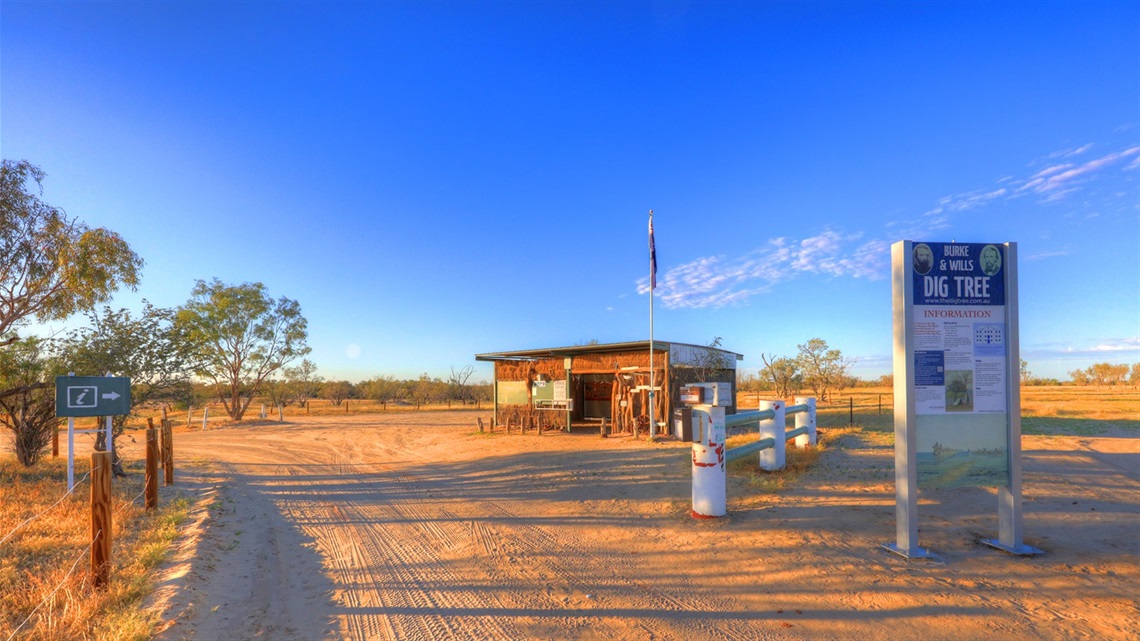 Dig Tree - Nappa Merrie