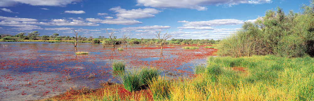 Lake Bindegolly National Park