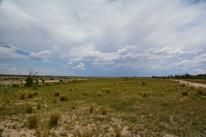 Lake Bindegolly National Park